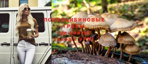 амф Козельск