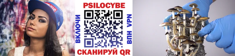 Галлюциногенные грибы Magic Shrooms  Купить  Губаха 